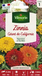 Zinnia géant de Californie mix